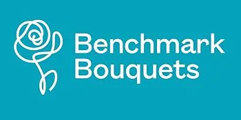 Benchmark Bouquets 20 stem Rainbow Mini Carnations, With Vase (Fresh Cut Flowers) - fresh flowers, flowers for delivery prime, roses, valentine