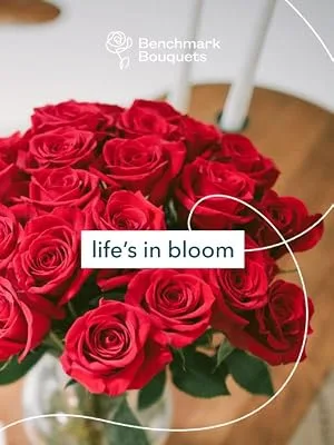 Benchmark Bouquets 20 stem Rainbow Mini Carnations, With Vase (Fresh Cut Flowers) - fresh flowers, roses, flowers for delivery prime, mother