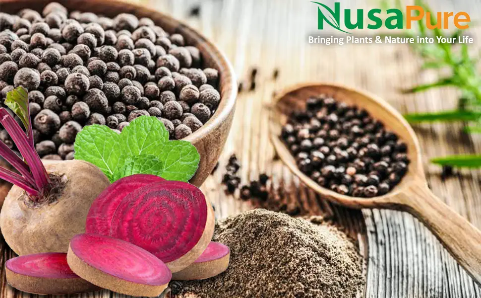 NusaPure Beet Root 8,000 mg - 200 Capsules - product information 1