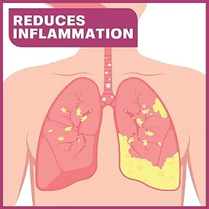 Base Labs 7% Hypertonic Saline Solution for Nebulizer Machine | Sterile Saline Solution for Inhalation| Helps with Respiratory Treatments, Clears Lungs, Mucus & Congestion l 25 Vials 5ml Unit Dose - saline solutions