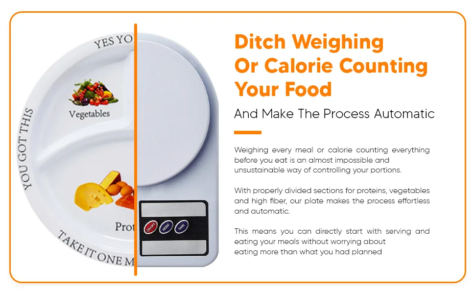 Bariatric Portion Control Plate (2 Pack) - batriatricplate