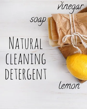 Bar5F Applicator Bottle with Angled Tip 8.5 ounce (Pack of 2) - lemon vinegar and soap on the counter for natural cleaning
