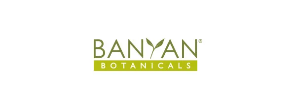 Banyan Botanicals Green Mung Beans - USDA Organic - Non GMO - For Soups, Sprouts, & Easy Digestion 1.65 lb - Banyan Botanicals