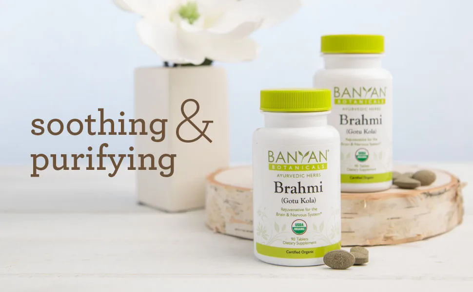 Banyan Botanicals Brahmi / Gotu Kola Tablets - USDA Organic - 90 Tablets - Centella asiatica - Brain & Nervous System Rejuvenative* - Banyan Botanicals Brahmi Gotu Kola tablets