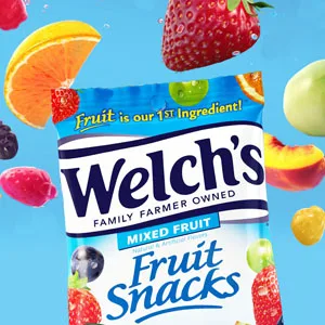 Welch's Fruit Snacks Mixed Fruit & Berries 'N Cherries Bulk Pack Gluten Free Individual Single Serve Bags 22g (Pack of 72) - Welch