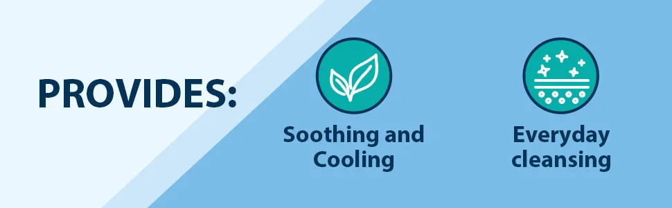 Anusol Cleansing Hypoallergenic Cooling Flushable Wipes 40 Count Skin Cleaning Wipe - Anusol