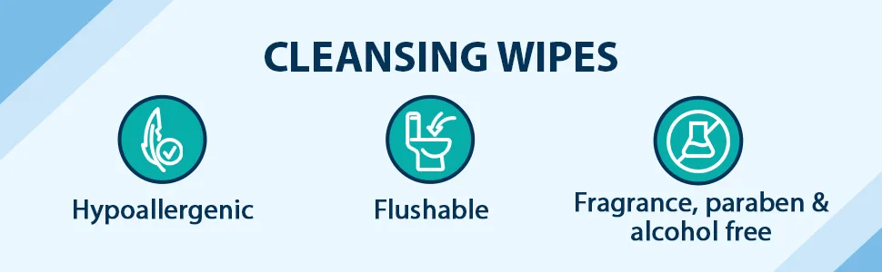 Anusol Cleansing Hypoallergenic Cooling Flushable Wipes 40 Count Skin Cleaning Wipe - Anusol