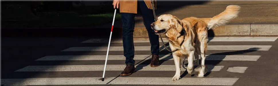 Baitaihem Folding Blind Cane Reflective Red Folding Walking Stick for Vision Impaired and Blind People - product information 11