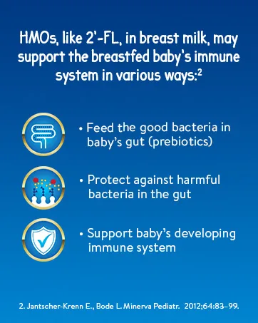 Similac Go & Grow Step 3 Toddler Drink with 2'-FL. Immune Support Innovation: 2'-FL Powder 12-36 Months Vanilla Flavour 850 grams - HMOs