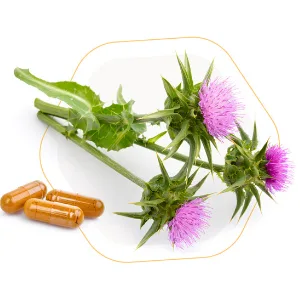 AOR - Benagene Capsules - 30 Count - product information 28