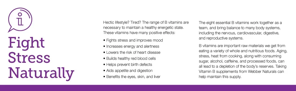 Webber Naturals Vitamin B100 Complex 90 Tablets Supports Energy Production and Metabolism Vegan 90 count (Pack of 1) B Complex - Webber Vitamin B