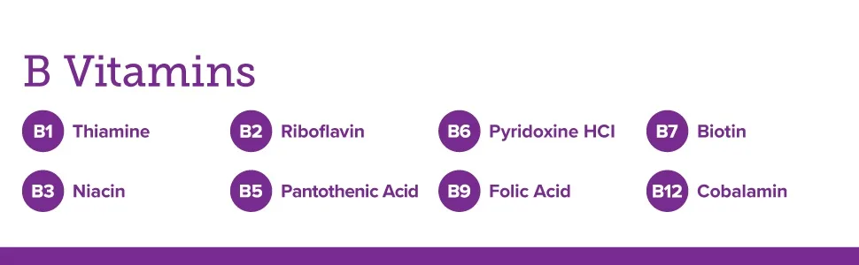 Webber Naturals Vitamin B100 Complex 90 Tablets Supports Energy Production and Metabolism Vegan 90 count (Pack of 1) B Complex - Webber Vitamin B