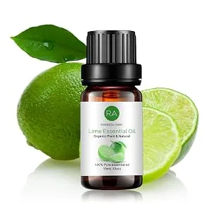 Fruit Essential Oil Top 11 Set - Strawberry Coconut Raspberry Mango White Musk Apple Freesia Lime Cherry Passion Watermelon 11-pack - Lime