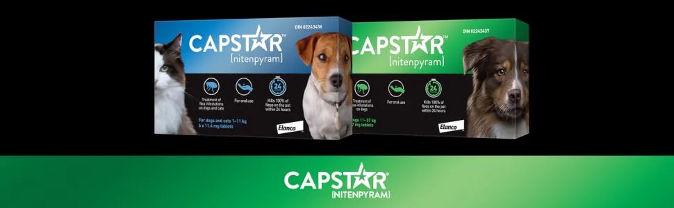 Capstar Oral Flea Treatment for Large Dogs Weighing 11 to 57 kg - 6 Pack - capstar pack shot