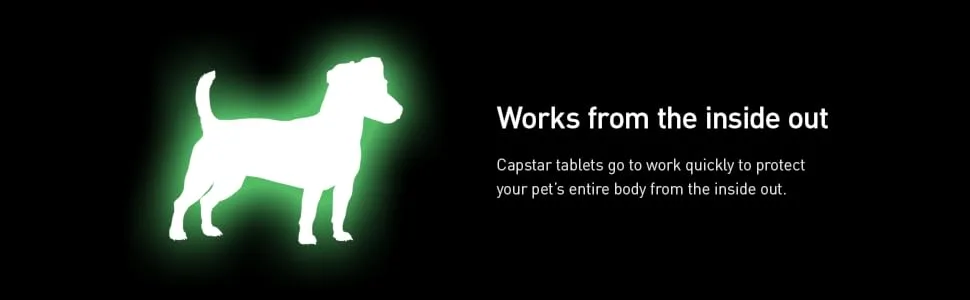 Capstar Oral Flea Treatment for Large Dogs Weighing 11 to 57 kg - 6 Pack - works from inside out