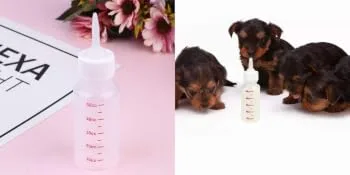 Baby Pet Feeding Bottle 50 Ml Squeeze Liquid Bottle for Kitten Puppy Small Animals Feeding Tool Pointed Milk Feeder with Scale 6 Pcs - product information 5