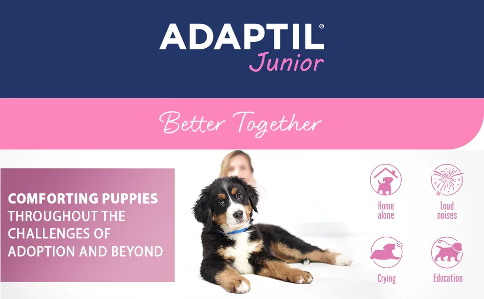 ADAPTIL Junior Calming Collar for Puppies - Reduce Crying & Whining and Improve Focus & Learning Dog Appeasing Pheromone Collar - (Puppy Calming Collar 1 Month Single Pack) - Adaptil Junior Puppy Calming Collar Puppy Training