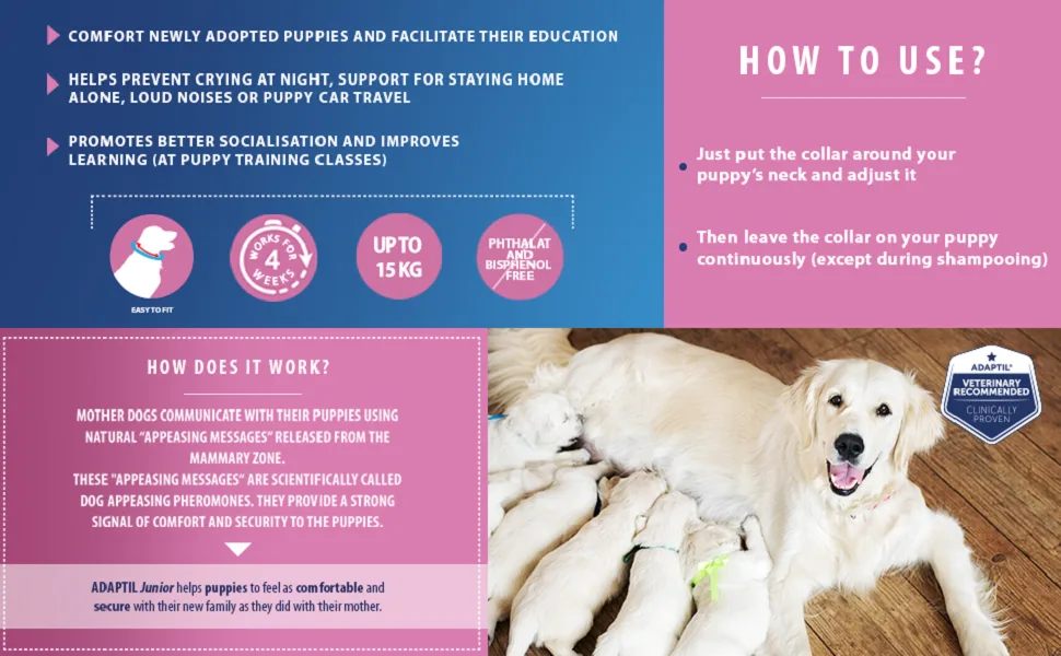 ADAPTIL Junior Calming Collar for Puppies - Reduce Crying & Whining and Improve Focus & Learning Dog Appeasing Pheromone Collar - (Puppy Calming Collar 1 Month Single Pack) - Adaptil Junior Puppy Calming Collar Puppy Training