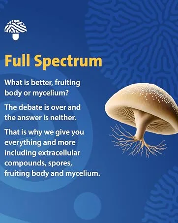 PURICA - Curcumin BDM50 Extra Strength 30 Vegan Capsules - Source of Antioxidants - Help Relieve Joint Inflammation 30 count (Pack of 1) - product information 8
