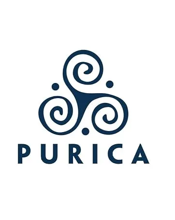 PURICA - Curcumin BDM50 Extra Strength 30 Vegan Capsules - Source of Antioxidants - Help Relieve Joint Inflammation 30 count (Pack of 1) - Purica