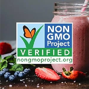 Vega Essentials Nutritional Shake Vanilla (18 Servings 619g) - Plant Based Vegan Protein Non Dairy Gluten Free - Non GMO Project Verified
