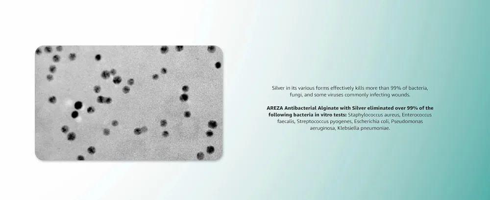 Areza Silver Alginate Dressing (Antibacterial Alginate with Silver) 10.8cm x 10.8 cm Sterile 5 Dressings Per Box - infection antibacterial silver alginate