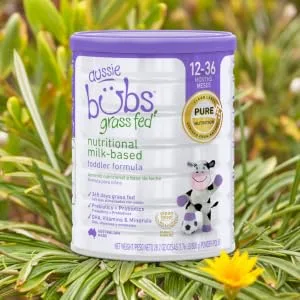 Aussie Bubs Grass Fed Nutritional Milk-based Toddler Formula, Powder, 28.2 oz (1 Can) 1.76 Pound (Pack of 1) - Aussie Bubs Grass Fed Nutritional Milk-Based Toddler Formula