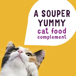 Friskies Lil' Soups Cat Food Complement Skipjack Tuna - 34 g Cup (8 Pack) Skipjack Tuna in Broth - Friskies-Tile-2