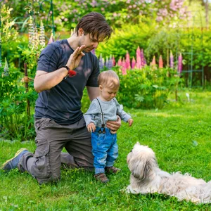Dog Clicker 6 Pcs Clicker Dog Training Dog Clicker Training with Wrist Strap Big Button Clicker Training for Pet Dog Puppy Cat Bird 6 Colors - product information 6