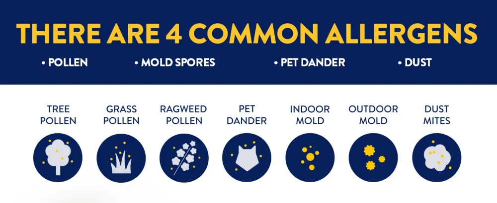 Astepro Allergy Nasal Spray, 24-Hour Allergy Relief, Steroid-Free Antihistamine, 200 Metered Sprays - astepro allergy