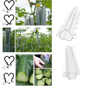 2pcs Shaped Growth Mold Vegetables Cucumbers Plastic Fruit Plastic Cucumber Molds Child Plant Melon - product information 4