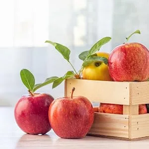 Apple Cider Vinegar Capsules | 2400mg | 150 Capsule | Non-GMO, Gluten Free Supplement | by Horbaach - CL2412 Banner 3