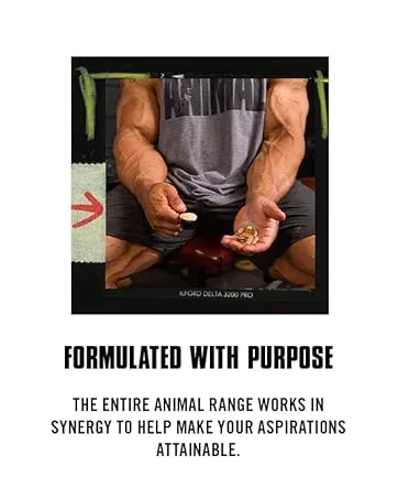 Animal Creatine Chews Tablets - Enhanced Creatine Monohydrate with AstraGin to Improve Absorption, Sea Salt for Added Pumps, Delicious and Convenient Chewable Tablets - Fruit Punch - Formulated with Purpose