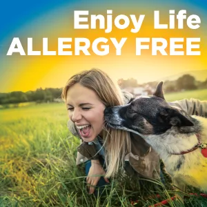 Amazon Basic Care Levocetirizine Dihydrochloride Tablets, 5 mg, Antihistamine, All Day Allergy Relief, 80 Count - enjoy life allergy free