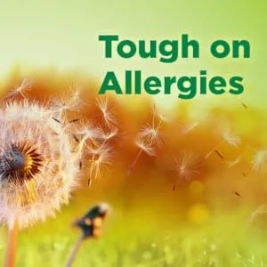 Amazon Basic Care All Day Allergy, Cetirizine Hydrochloride Tablets, 10 mg, Antihistamine, 300 Count 300 Count (Pack of 1) - tough on allergies