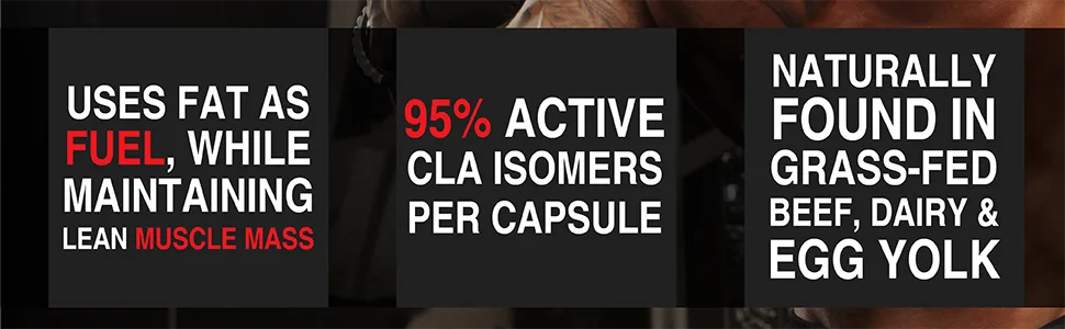 Allmax Nutrition CLA 90 sgels - cla uses fat as fuel maintain lean muscle mass 95% active cla naturally found in dairy