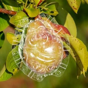 FUNOMOCYA Vegetable Shaped Growth Fruitful Melon Reusable Forming Shaping Cloth Bag Watermelon - product information 3