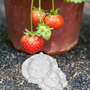 Parliky 1 Set Shaping Convenient Fruits Vegetable Shaper Ginseng Fruits and Vegetables Plastic - product information 3