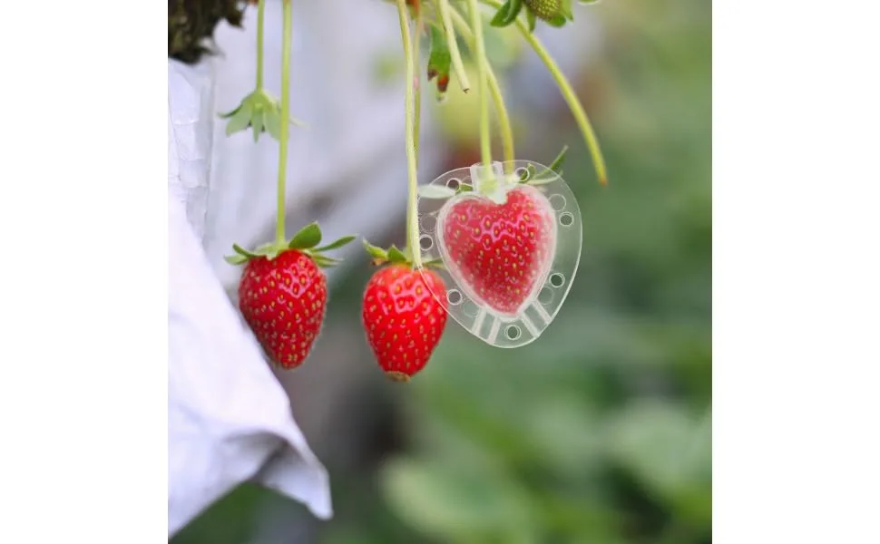 FUNOMOCYA 4pcs Strawberry Mold Small Fragrant Pear Modeling Melon - product information 4