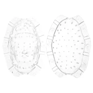 BCOATH Forming Vegetable Tool Clear Gardener Ginseng for Decorative Watermelon Transparent - product information 7