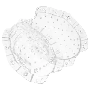 FUNOMOCYA Shaping Reusable Gardener Fruits Mold Buddha Ginseng Watermelon Small Mould Forming Fruit Shaper - product information 5