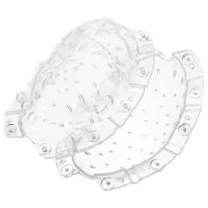 VINTORKY Fruits Forming Mould Vegetable Growing Mold Fruit Ginseng Buddha Shaped Growth Mold Melon to Play with Multipurpose - product information 1