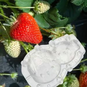 SEWOART 1 Set Shaping Clear Mold Vegetable DIY Molds Melon Stereotypes Plastic Forming Machine - product information 1