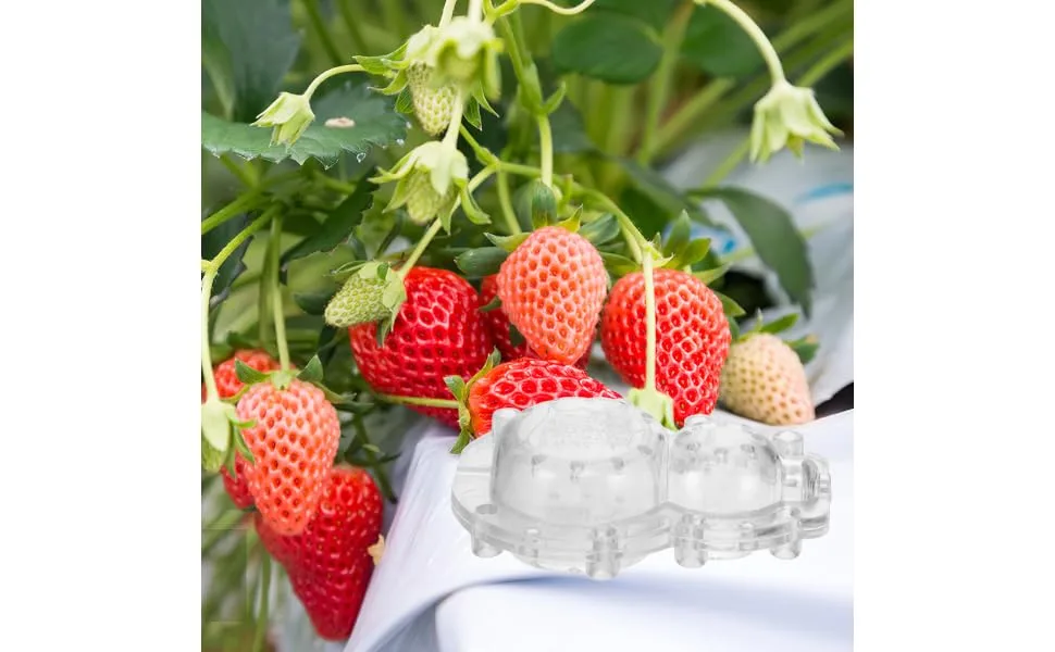 SEWOART 1 Set Shaping Clear Mold Vegetable DIY Molds Melon Stereotypes Plastic Forming Machine - product information 6