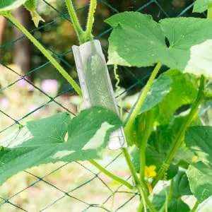 Parliky 4pcs Shaped Plastic Fruit Star Cucumber Shaper Vegetable Growing Tools Shape Machine - product information 1