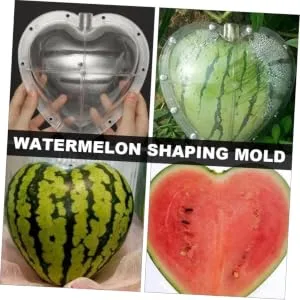 LIFKICH Fruit Shaping Molds Fruit Vegetables Shaping Mold Vegetable Molds Vegetable Growth Mold Tool Heart-Shaped Moss 17x17cm Transparent - product information 2