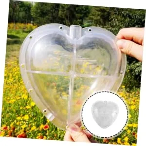 LIFKICH Fruit Shaping Molds Fruit Vegetables Shaping Mold Vegetable Molds Vegetable Growth Mold Tool Heart-Shaped Moss 17x17cm Transparent - product information 4