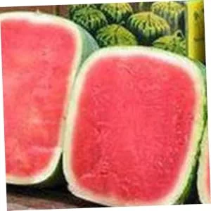 LIFKICH Watermelon Shaping Fruit Transparent Strawberry Forming Shaping Mould Vegetable Growth Mold Tool Square Watermelon 15x15cm Transparent - product information 1