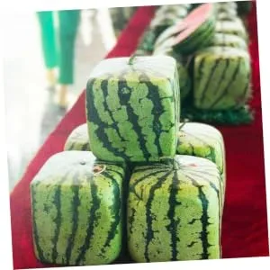 LIFKICH Watermelon Shaping Fruit Transparent Strawberry Forming Shaping Mould Vegetable Growth Mold Tool Square Watermelon 15x15cm Transparent - product information 3