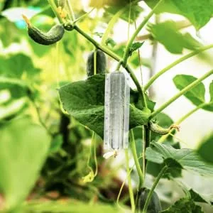 ORFOFE 4pcs Shaped Growth Mold Multi-function Fruit Mold Vegetable Diy Molds Small Fruit Cucumber - product information 4